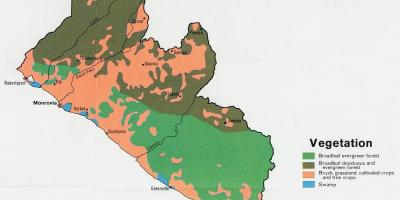 Mapa de vegetação mapa da Libéria